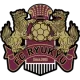 Logo FC Ryukyu Okinawa